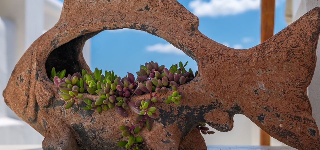 Dankbaar, paternoster self-catering accommodation, 3 Bedrooms, book self catering accommodation, western cape, west coast accommodation, paternoster accommodation