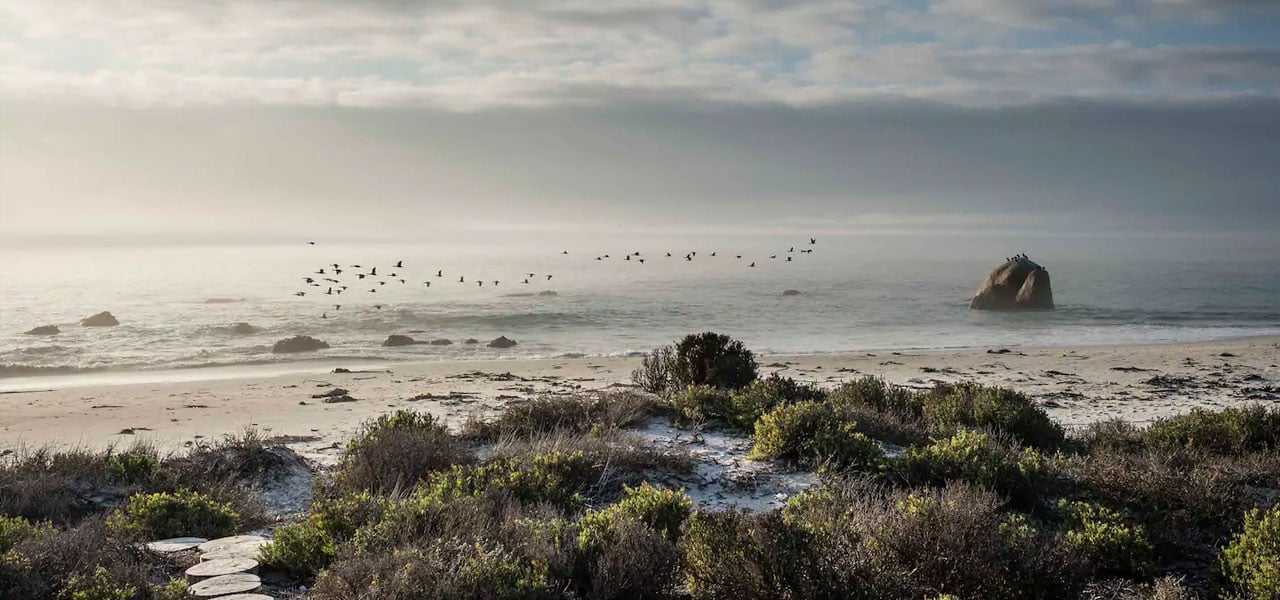 Seabird Point, paternoster self-catering accommodation, 4 Bedrooms, book self catering accommodation, western cape, west coast accommodation, paternoster accommodation