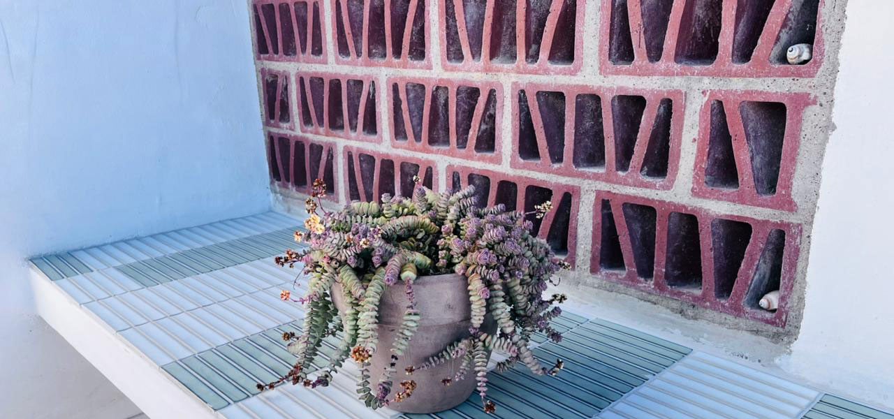 Sandmossel, paternoster self-catering accommodation, 3 Bedrooms, book self catering accommodation, western cape, west coast accommodation, paternoster accommodation